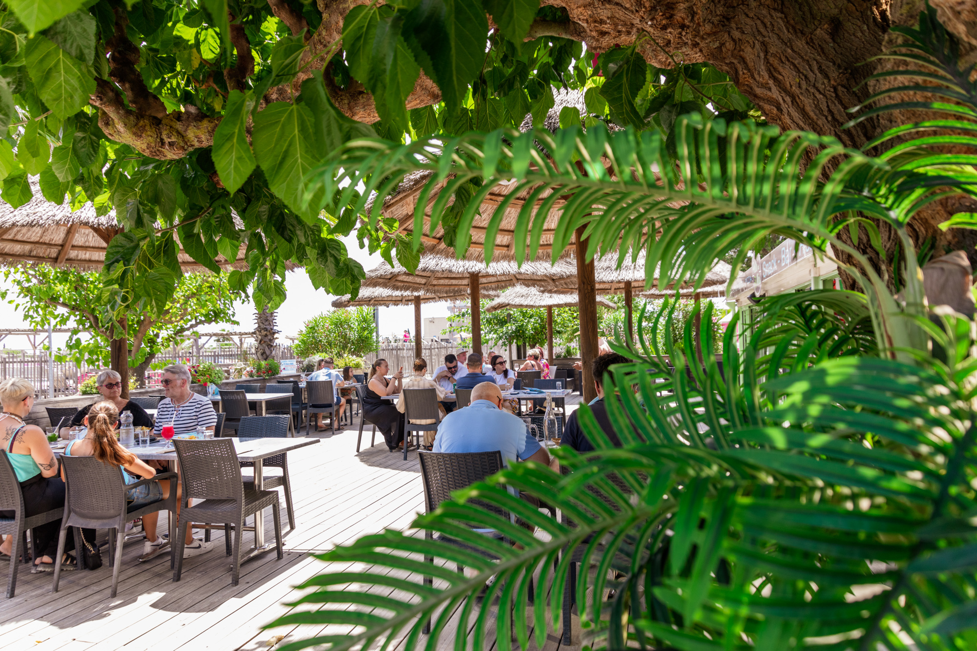 20240716 003420202 Mas des lavandes Herve Leclair Algodia.com 2000px